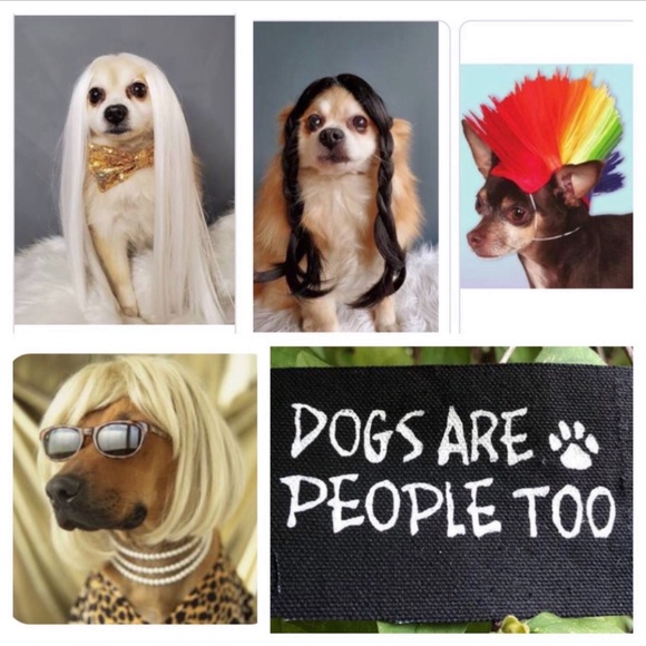 ❌ 11/19 WICKED WEDNESDAY VINTAGE FASHION SHARE GROUP - Picture 12 of 16